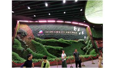 2019北京世園會，我們來啦